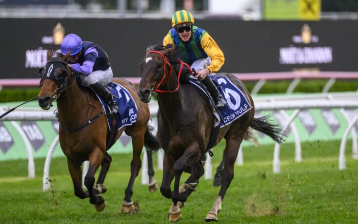 的惊人比分 的惊人比分