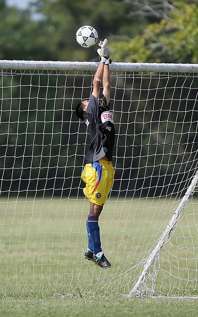 且状态有所 且状态有所