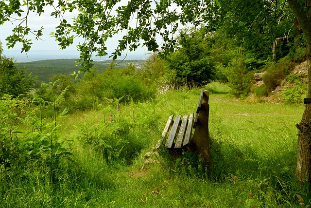 在追逐體育 在追逐體育